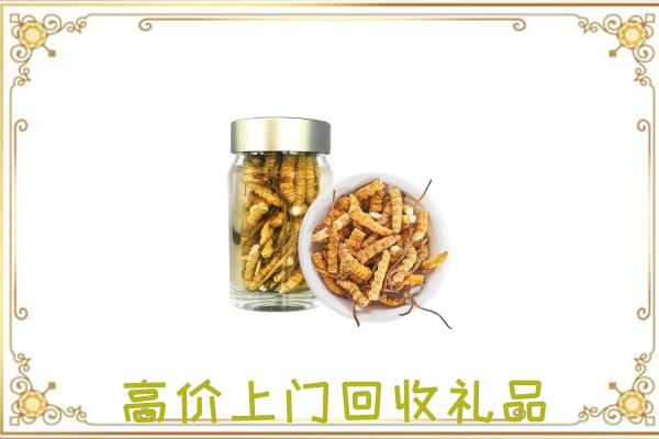 乌鲁木齐周边回收虫草